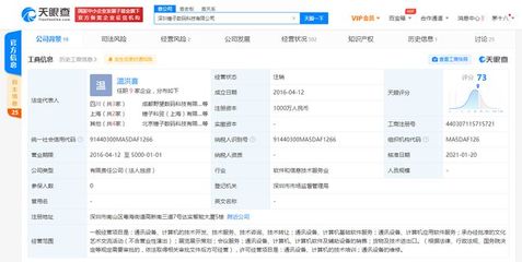 深圳錘子科技數(shù)碼科技注銷，軟件技術(shù)轉(zhuǎn)讓引發(fā)行業(yè)關(guān)注